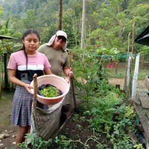 The families in Chajmaic, Guatemala receive new seedlings