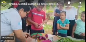 Principal of Sisbilhá School in remote Eastern Alta Verapaz, Guatemala, cutting harvested vegetables