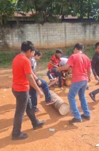 How the land is cleared to make space for the greenhouses