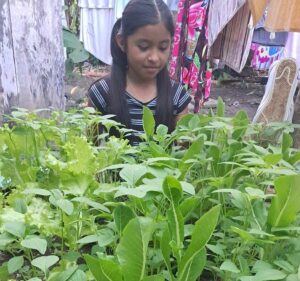 12-year-old parishioner influenced to build a family greenhouse