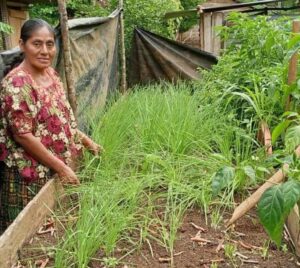 Make a difference in Guatemala in a time of increased need (Email 2 of end of year campaign)