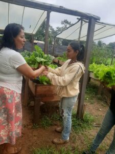 Many Opportunities for Sowing Hope (Email 4 of end of year campaign)