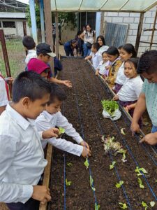 We are changing the region to self-sustainability, with your help