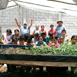 Strength of our project in the face of harsh reality