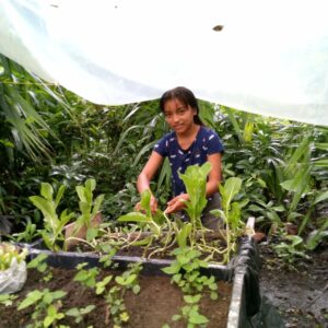 Updates for September 2026: A young entrepreneur is born