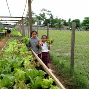 Tour of Northeast Alta Verapaz in March-April 2027